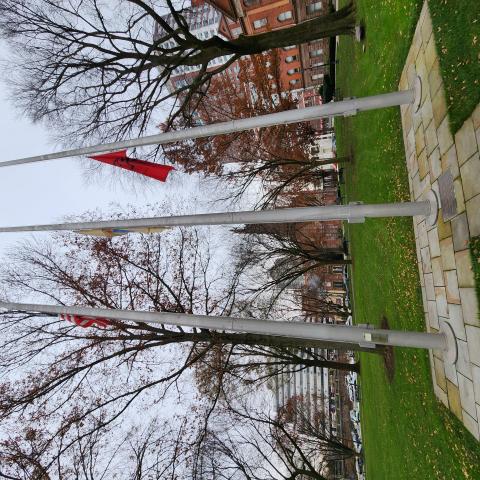 area-of-flags